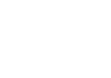 AE Seguros